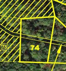 74 MOUNTAIN HOLLY DR, Phase 2 Lot, 74 1.2 Acres
