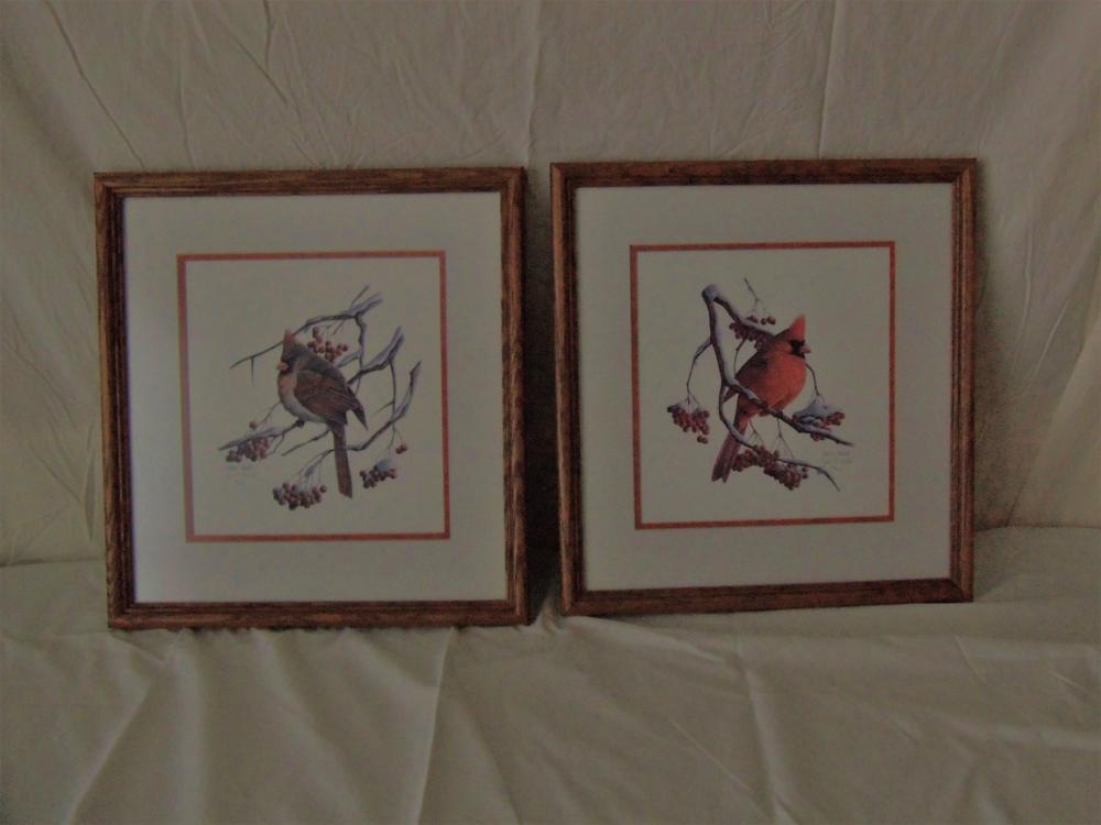 Cardinals - male & female